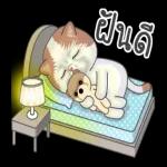 ไม่ตอบก็ไม่เป็นไรหรอก😞 