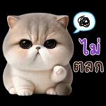 เป็นกำลังใจให้หนู
