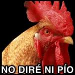 gallinas