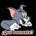 ¿Qué borraste? 