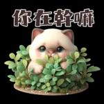 可愛暹羅貓的日常