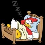 Estoy viendo NETFLIX No molestar!