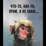 с добрым утром 