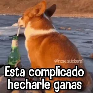 Esta complicado hecharle ganas - getsticker.com