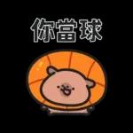 小水豚們的熱血應援