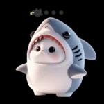 Shark Chubby Meow [TW]