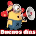 lo siento😭