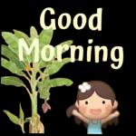 Good Morning