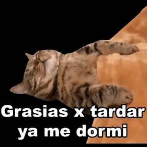 Gracias x tardar ya me dormi - getsticker.com