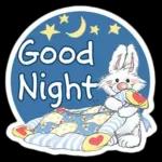 Gute Nacht!💤