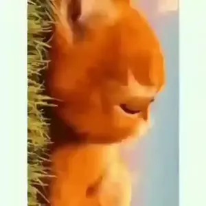 heSJ8Y