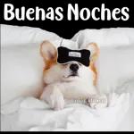 kisieras