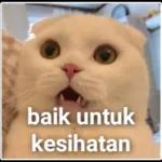 selamat Malam🥰🥰