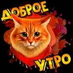 доброго утра