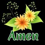 GOEIEMÔRE EK CHECK NET OF JY OKAY IS...