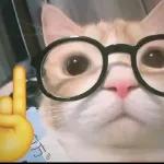 👉👈