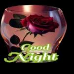 i don't know why but....😘🌙