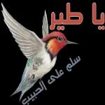 آمین
يارب امين