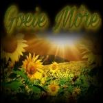 Good Morning
Welcome thes
day with a
grateful
HEART