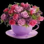 Have a good day!