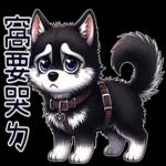 好二哈-日常白目篇