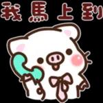 簡潔希拉豬可愛日常貼圖