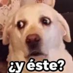memes_de_perr...