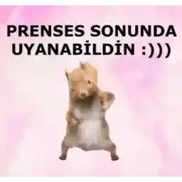 wghhkkklnvbn