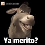 Ya merito?