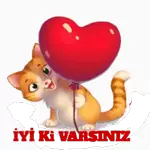 aynur