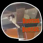 Buenas Buenas