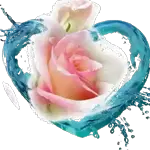 Love is the water of life.