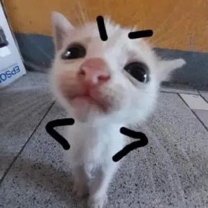 sjsZir