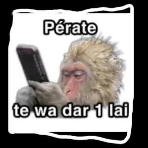 5ZAUL7