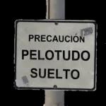 quee!