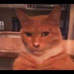 mewing 