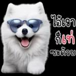สวัสดี💚 วันหวยออก💖