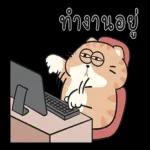 บัดซับ!!!!!!