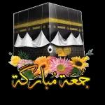 جديد 