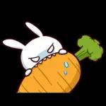 funny bunny🐰