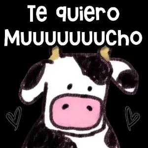 OExtqy