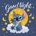 Stitch's lovely night