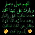 محتويات