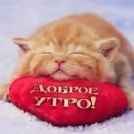 утро доброе