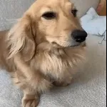 sandra