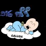 הורדה חינם, עדכונים יומיים, אין צורך בכניסה