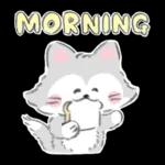 Drawing by Echigawa Noriyuki ♪ Disney Cats