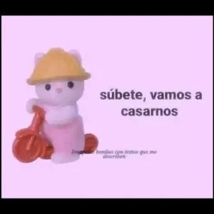 ktjy64n