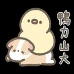天竺鼠布丁～～超可愛鴨