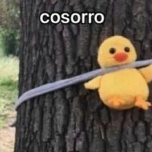 VHUVmq